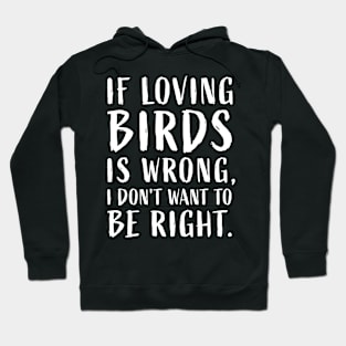 Funny Bird Lovers Joke Feather Funny Vintage Birds Theme Hoodie